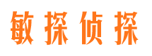 湖北市私家侦探